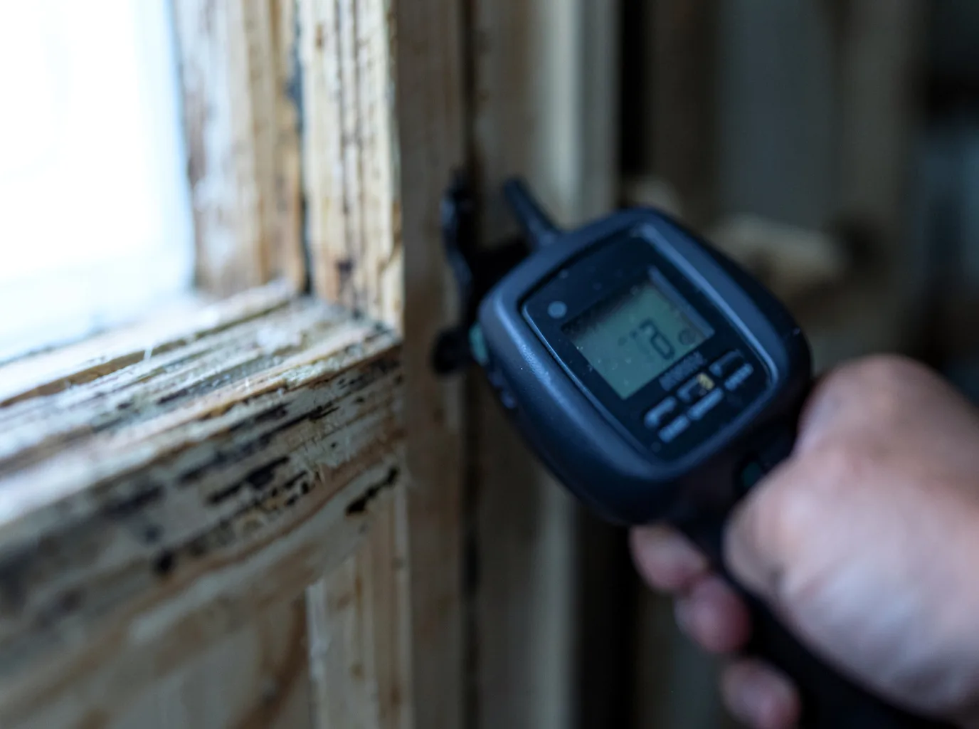 Moisture Inspection And Documentation in Pikeville, NC